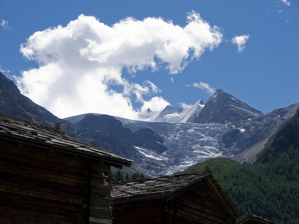 Appartamento Chalet Soldanella Grächen Esterno foto