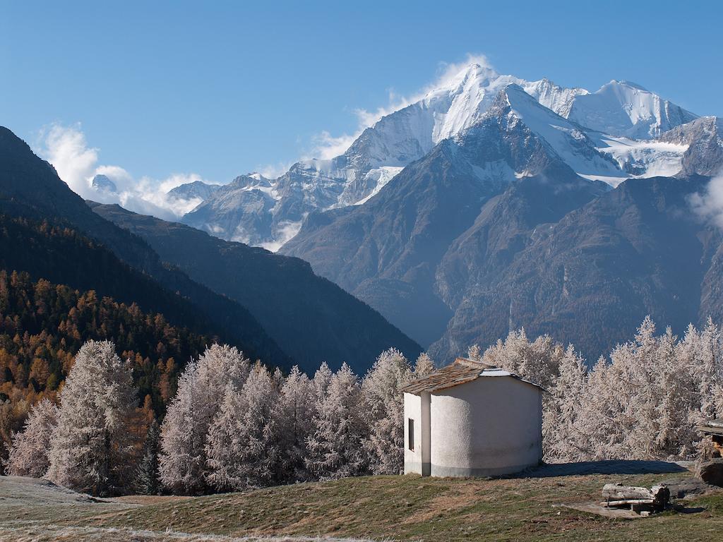 Chalet Soldanella Grächen Esterno foto